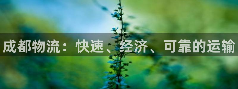 28圈注册网页版：成都物流：快速、经