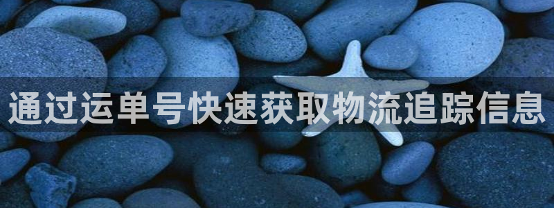 28圈软件：通过运单号快速获取物流追
