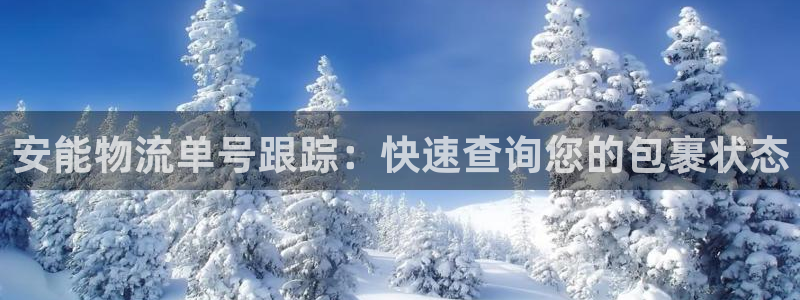 28圈加拿大pc预测