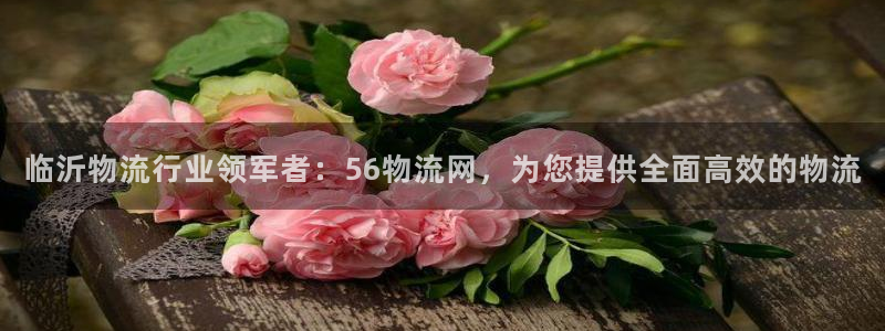 28圈旗下