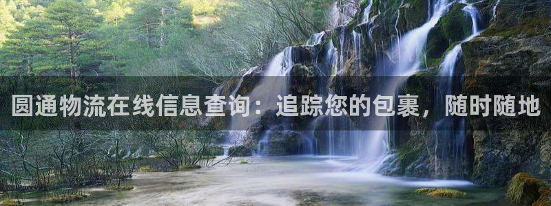 28圈平台注册：圆通物流在线信息查询