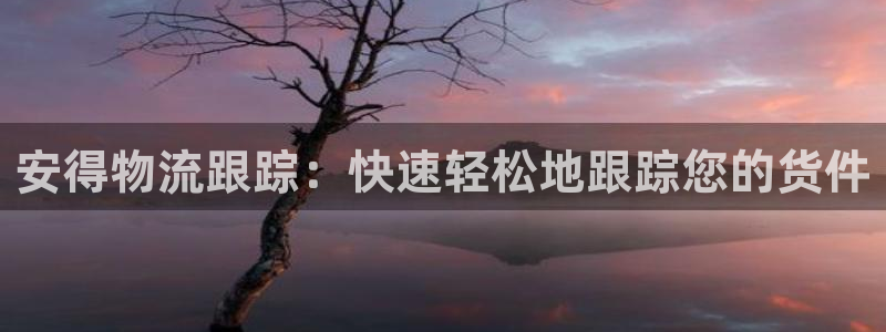 28圈官方版网站