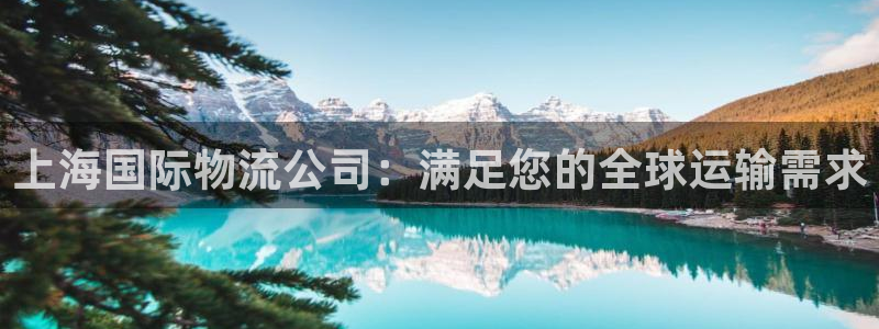28圈二维码