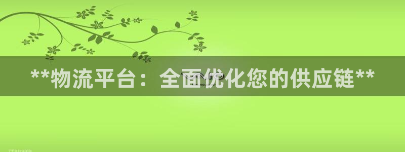 28圈p图上分下款通道：**物流平台