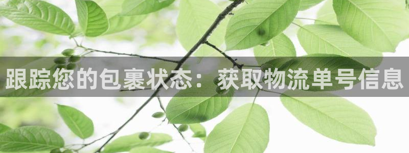 28圈注册网站加拿大：跟踪您的包裹状