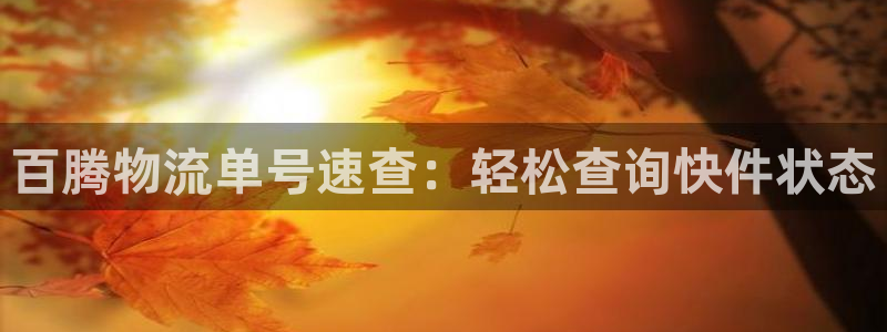 28圈在线预测：百腾物流单号速查：轻