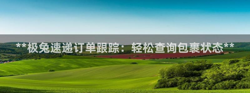 28圈充值金额随便：**极兔速递订单