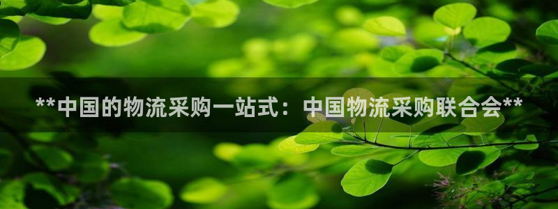 28圈加拿大官网