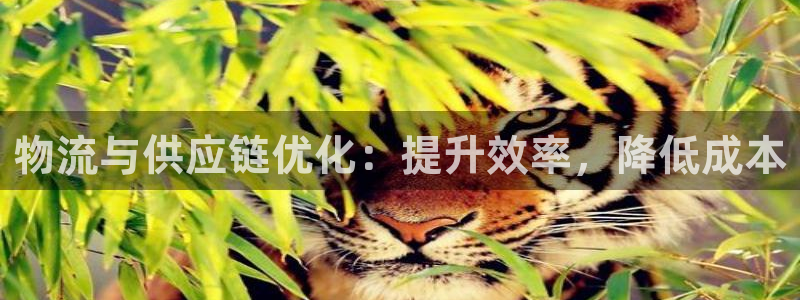 28圈注册网站链接：物流与供应链优化