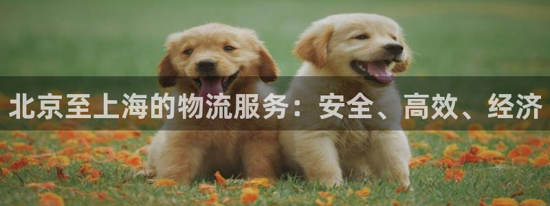 28圈免费：北京至上海的物流服务：安
