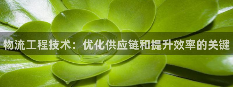28圈模拟器在线使用：物流工程技术：