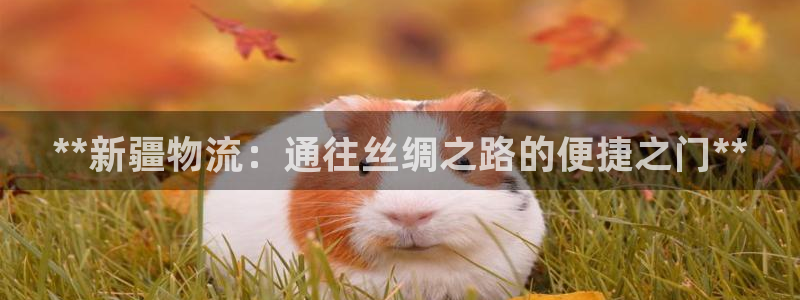 28圈加拿大能提现吗：**新疆物流：