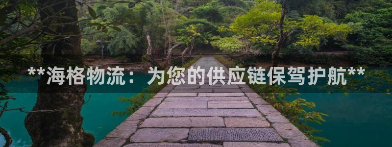 28圈预测网