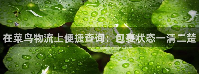 28圈官网下载链接是什么：在菜鸟物流
