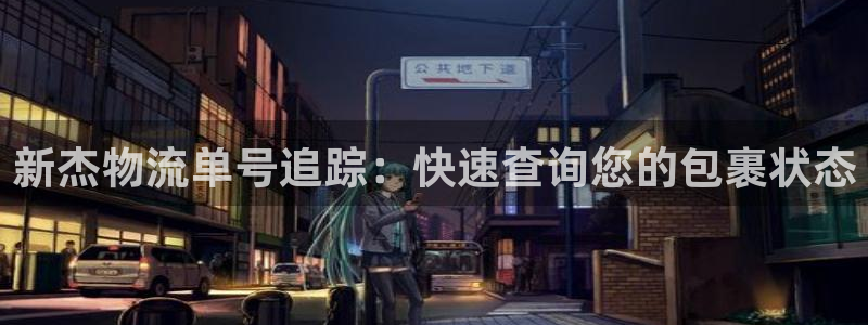 28圈.ccmpc28：新杰物流单号