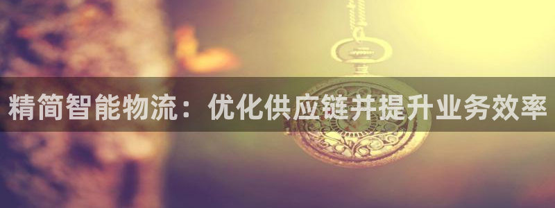 28圈怎么注册：精简智能物流：优化供