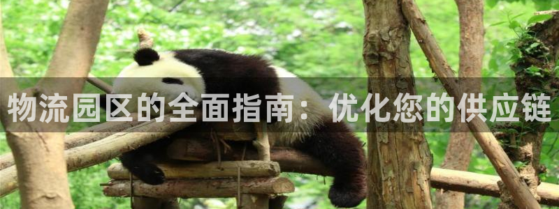 自行车28圈是什么意思：物流园区的全