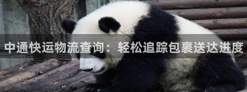 28圈电子游戏