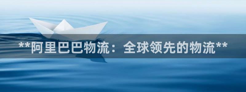 28圈技巧：**阿里巴巴物流：全球领