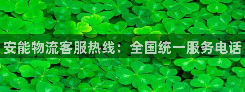 28圈官网链接
