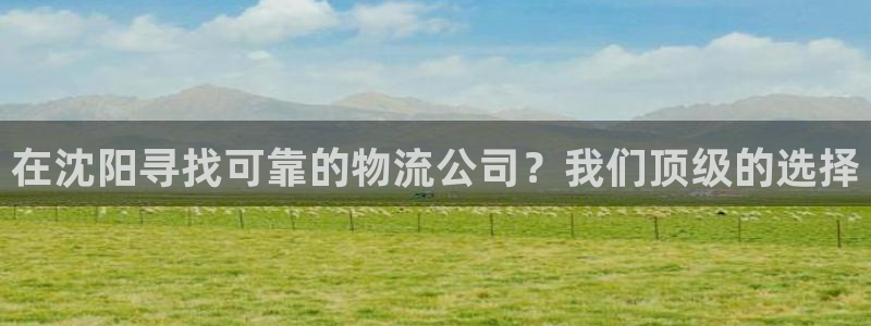 28圈网站怎么注册：在沈阳寻找可靠的