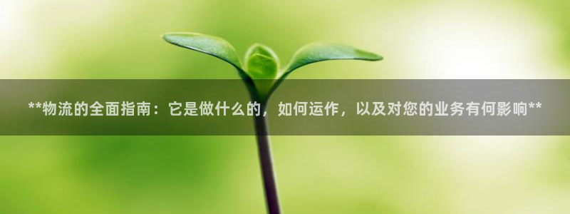 28圈官网开奖结果预测