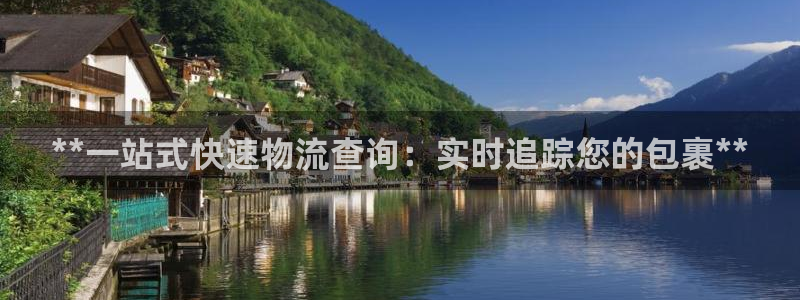 28圈加拿大技巧：**一站式快速物流