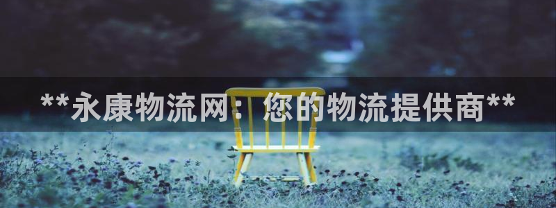 28圈加拿大是什么意思