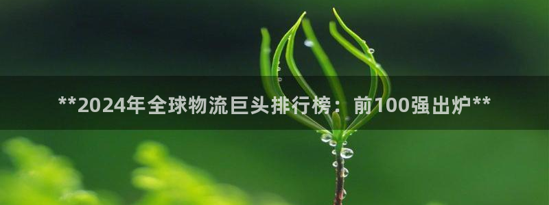 28圈账号注册：**2024年全球物