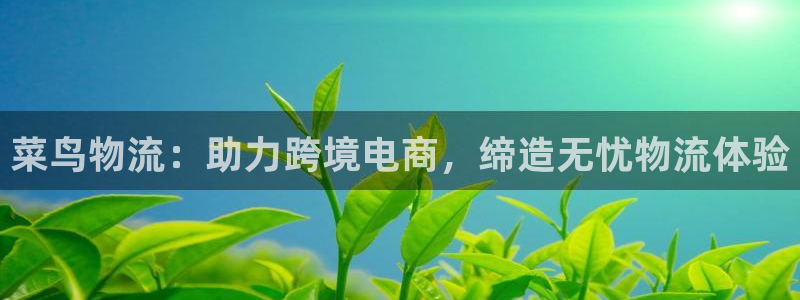 28圈注册网址：菜鸟物流：助力跨境电