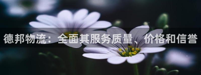 28圈不给提现：德邦物流：全面其服务