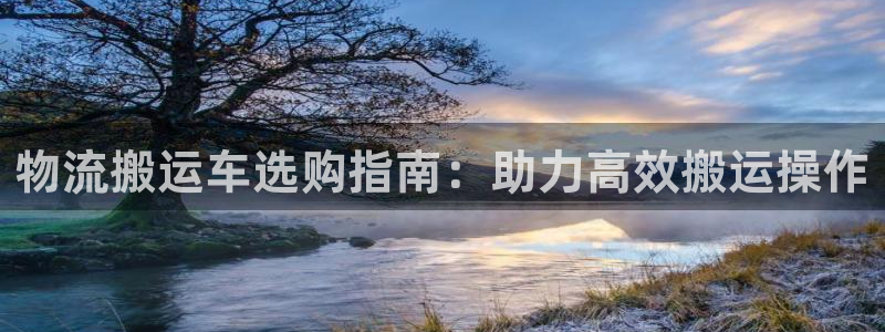 麻将128圈：物流搬运车选购指南：助