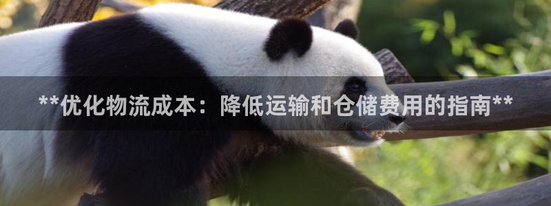 28圈提现未达5期是什么意思