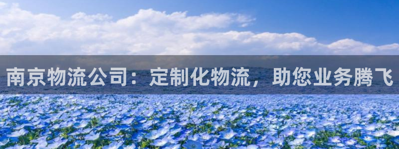 28圈加拿大是什么意思