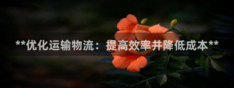 28圈能退款吗