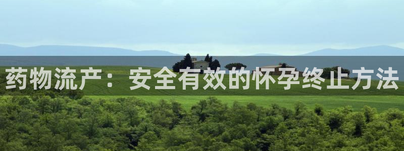 28圈代理落网