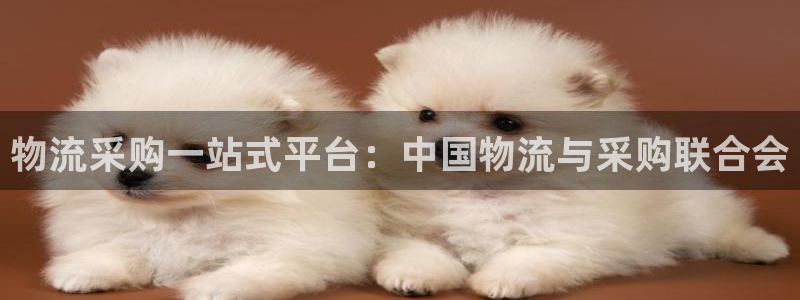 28圈链接来一个