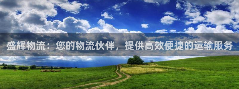 28圈链官网：盛辉物流：您的物流伙伴
