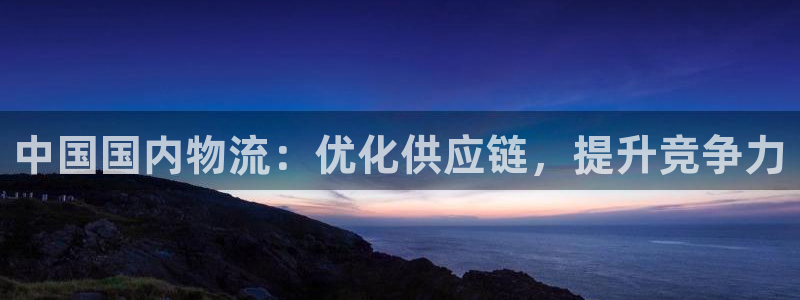 28圈圈助手：中国国内物流：优化供应