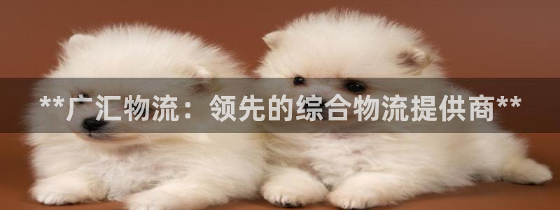 28圈游戏：**广汇物流：领先的综合