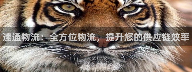 28圈注册链接：速通物流：全方位物流