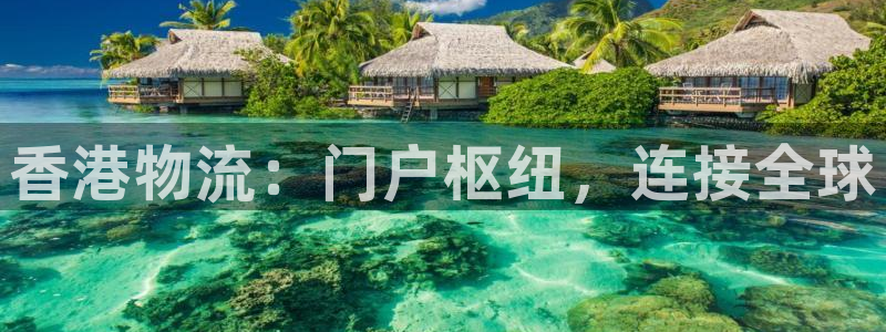 28圈网站怎么注册：香港物流：门户枢