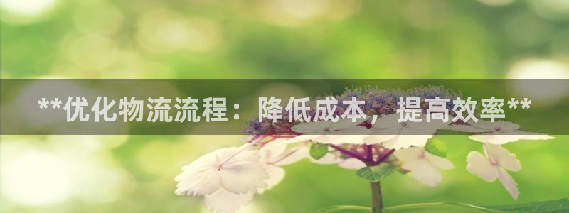 28圈注册用户名是什么：**优化物流