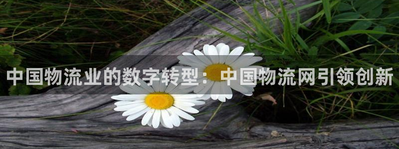 28圈吧：中国物流业的数字转型：中国