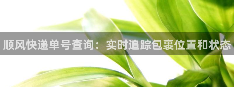 28圈是正规平台吗：顺风快递单号查询