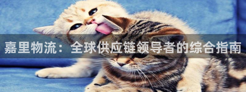 28圈麻将胡了爆分视频
