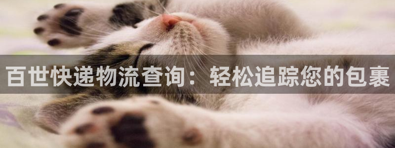 28圈绿骨头