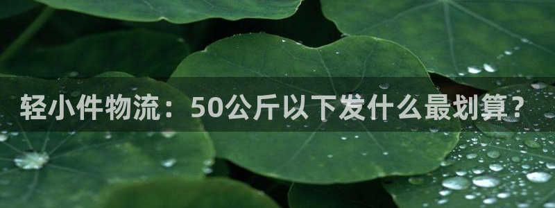 28圈充值方式：轻小件物流：50公斤