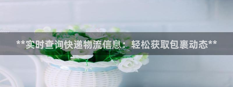 28圈充值不到账怎么办