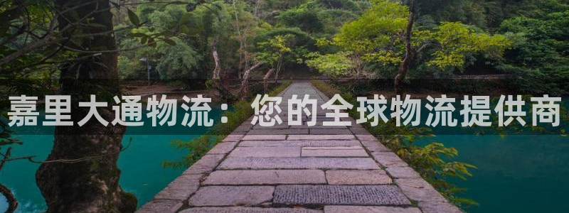 28圈p图上分下款通道：嘉里大通物流